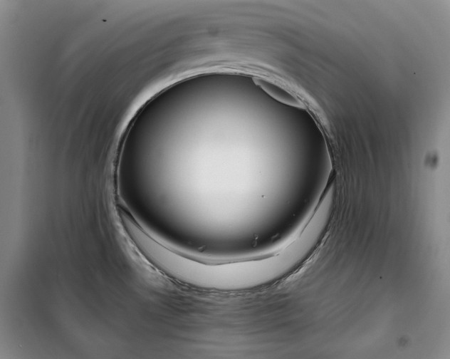 X0000099991530200806131423