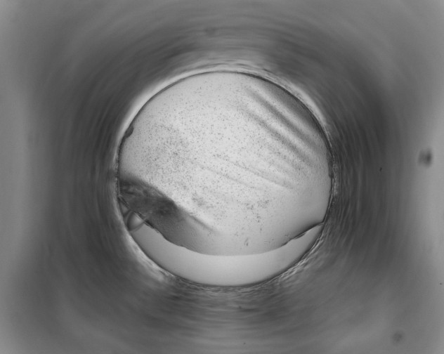 X0000099991532200806131423