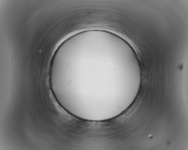 X0000099991534200806131423