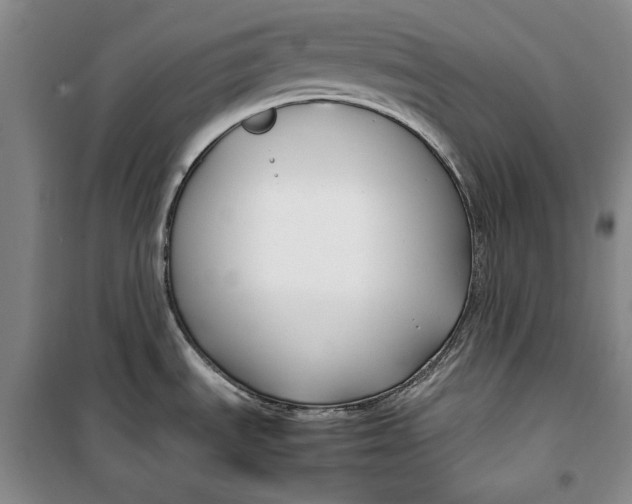 X0000099991535200806131423