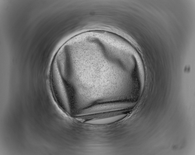 X0000099991536200806131423