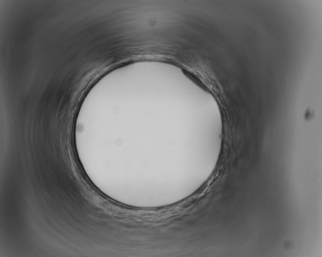 X0000099990001200806201501