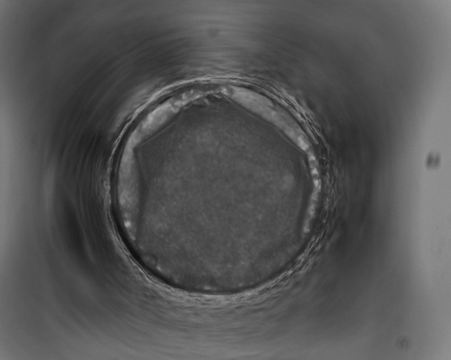 X0000099990002200806201501