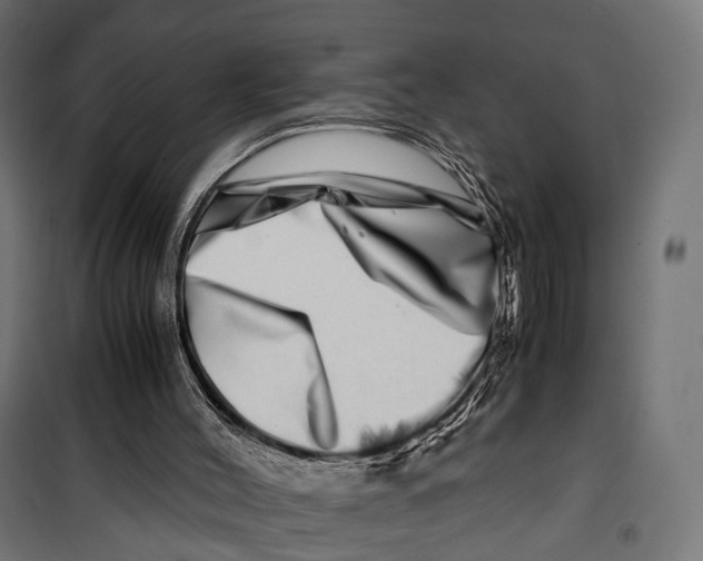 X0000099990004200806201501