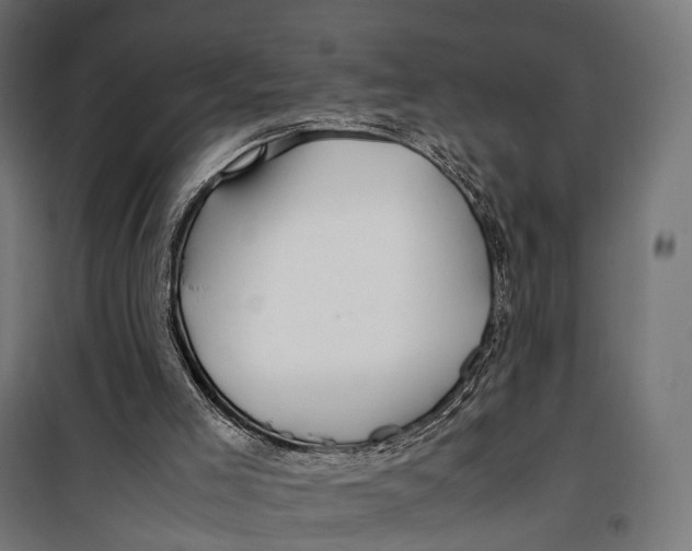 X0000099990005200806201501