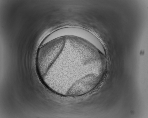 X0000099990007200806201501