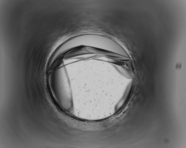 X0000099990008200806201501