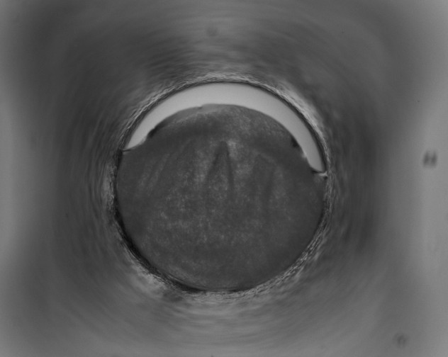 X0000099990009200806201501