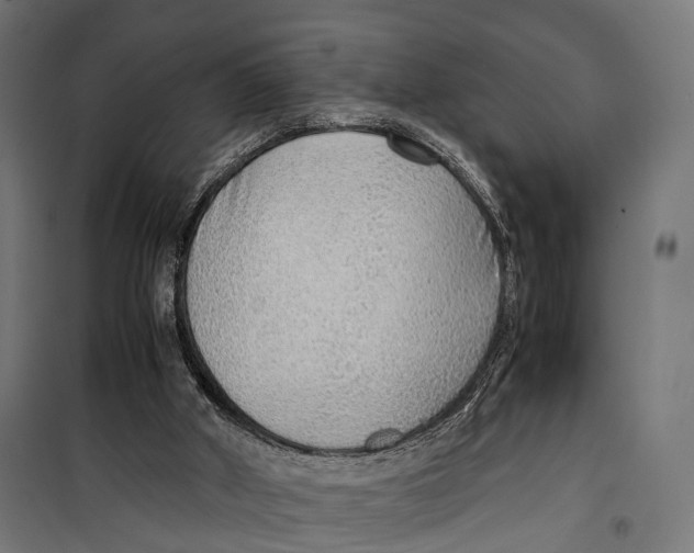 X0000099990010200806201501