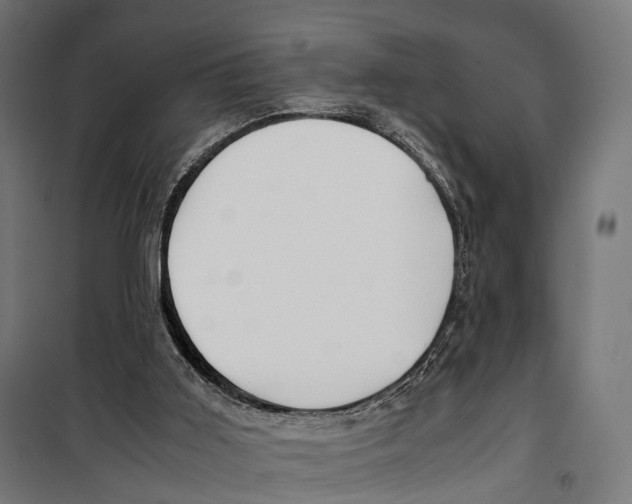 X0000099990011200806201501