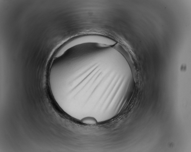 X0000099990012200806201501