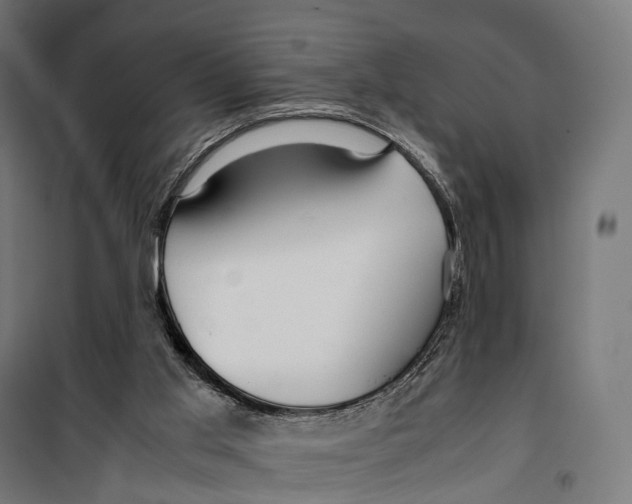 X0000099990013200806201501