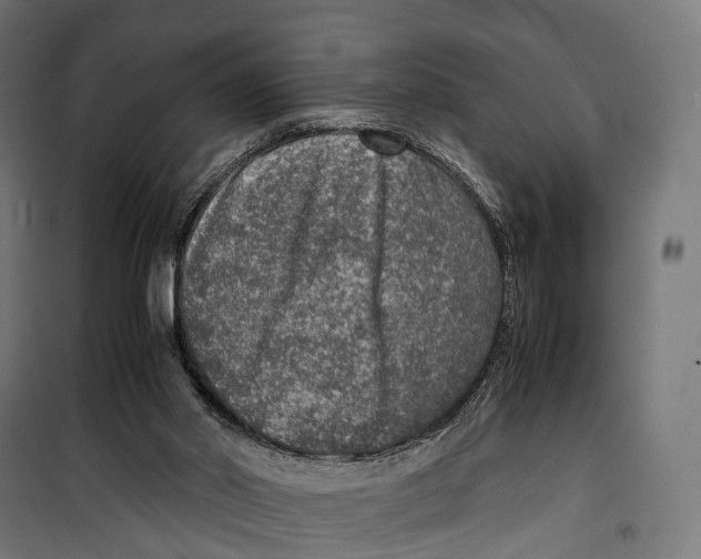 X0000099990014200806201501