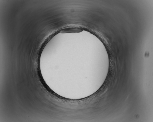 X0000099990015200806201501