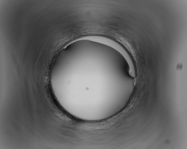 X0000099990017200806201500