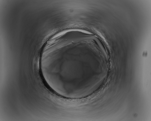 X0000099990019200806201500