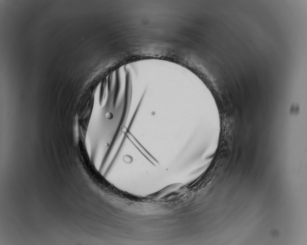 X0000099990020200806201500