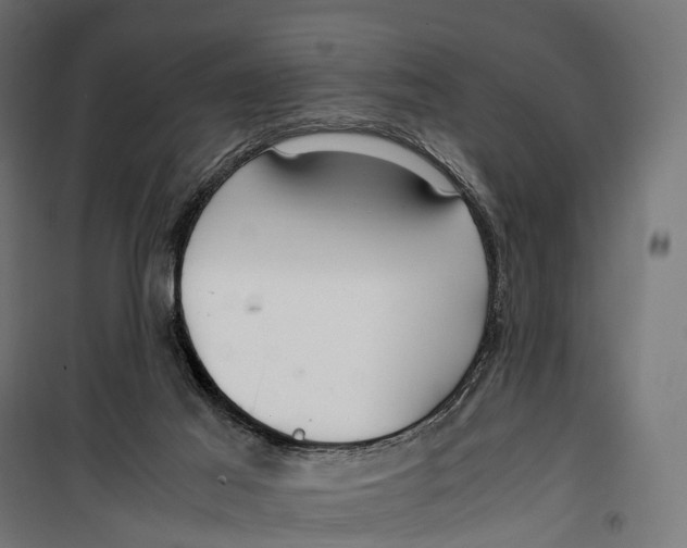 X0000099990021200806201500