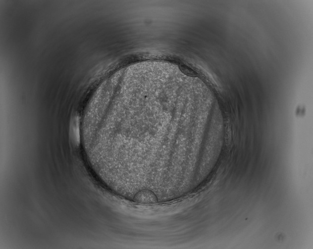 X0000099990022200806201500