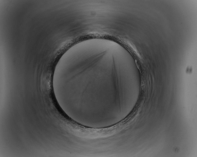 X0000099990023200806201500