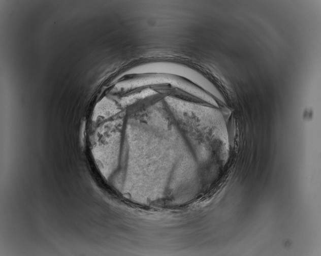 X0000099990024200806201500