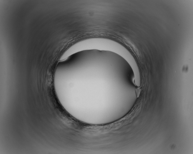 X0000099990025200806201500