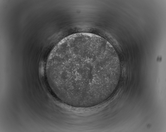 X0000099990026200806201500