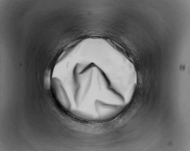 X0000099990028200806201500