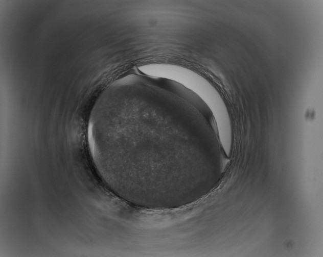 X0000099990029200806201500