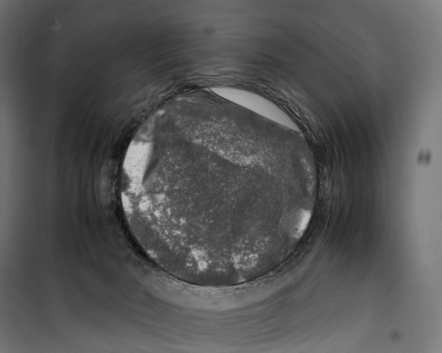 X0000099990030200806201500