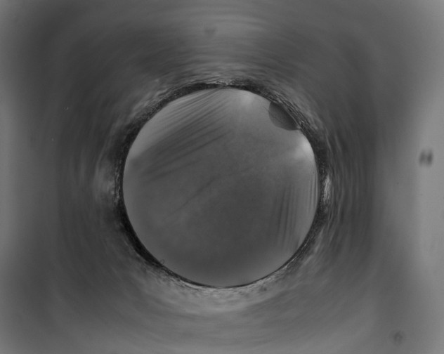 X0000099990031200806201500