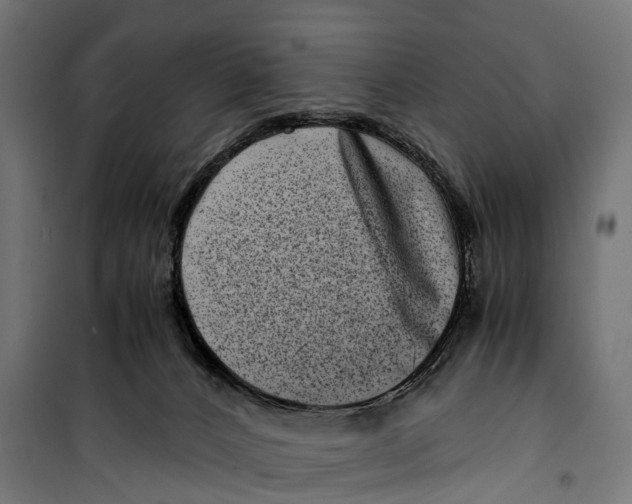 X0000099990032200806201500