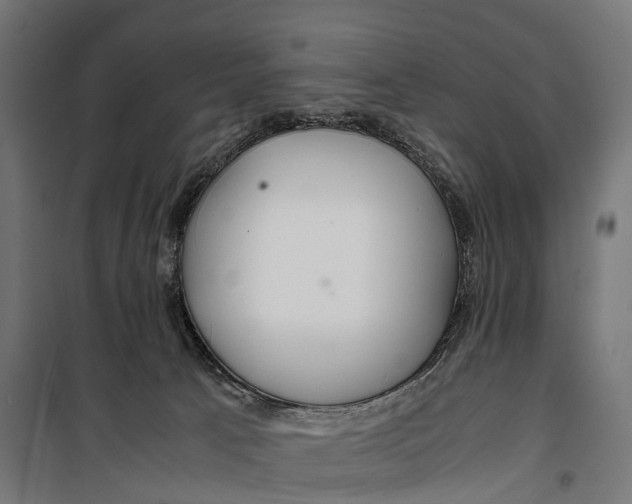 X0000099990033200806201500