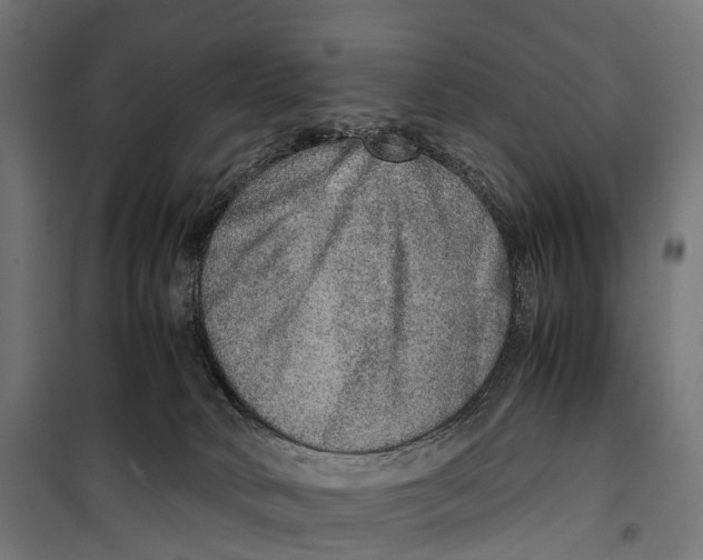 X0000099990034200806201500