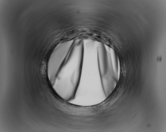 X0000099990036200806201500