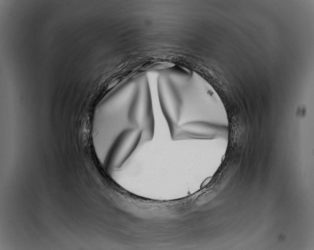 X0000099990040200806201500