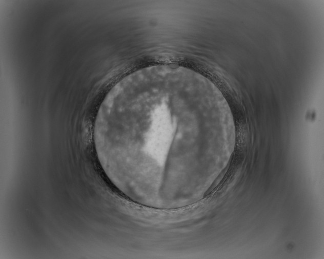 X0000099990043200806201500