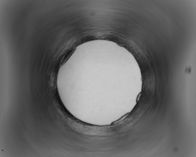 X0000099990044200806201500