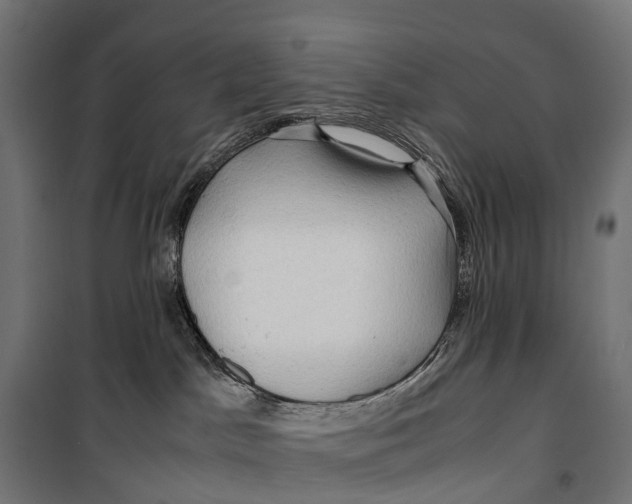 X0000099990045200806201500