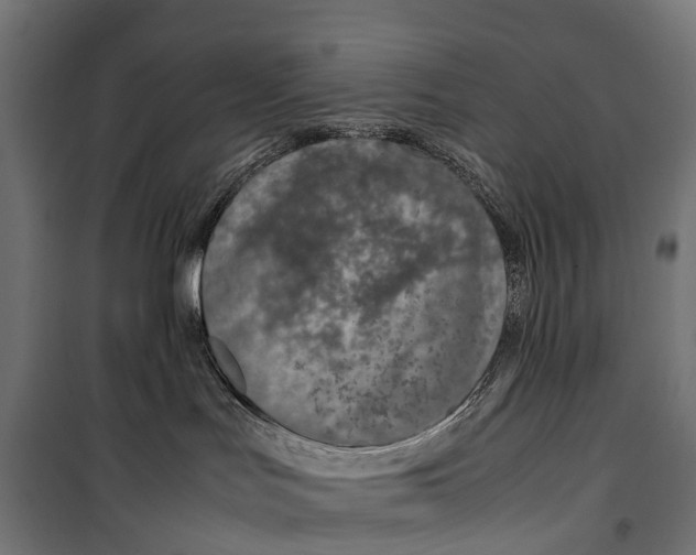 X0000099990047200806201500