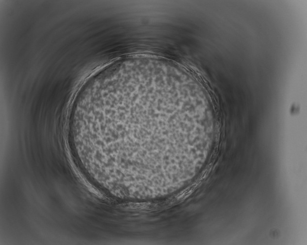 X0000099990049200806201459