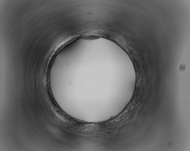 X0000099990050200806201459