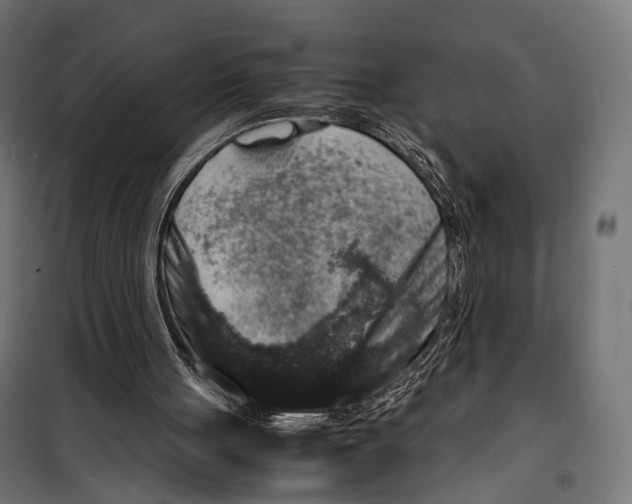 X0000099990051200806201459