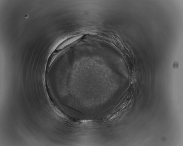 X0000099990052200806201459