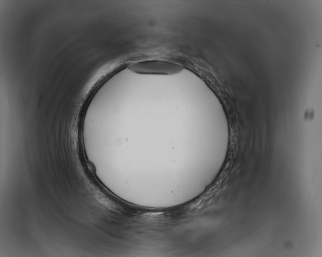 X0000099990054200806201459