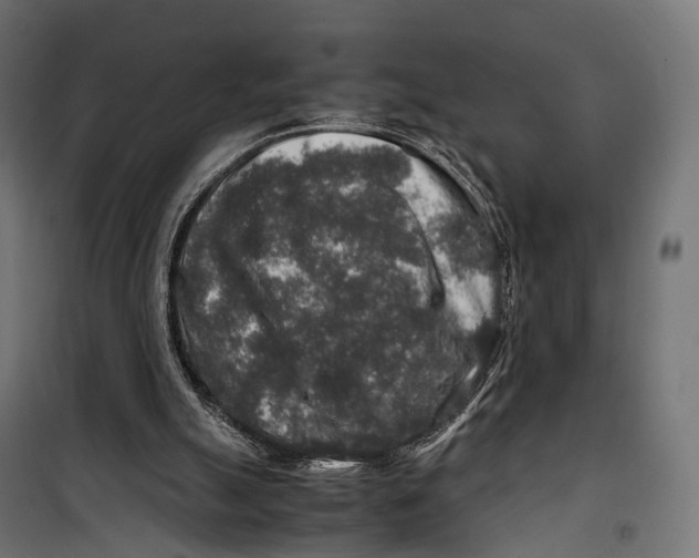 X0000099990055200806201459