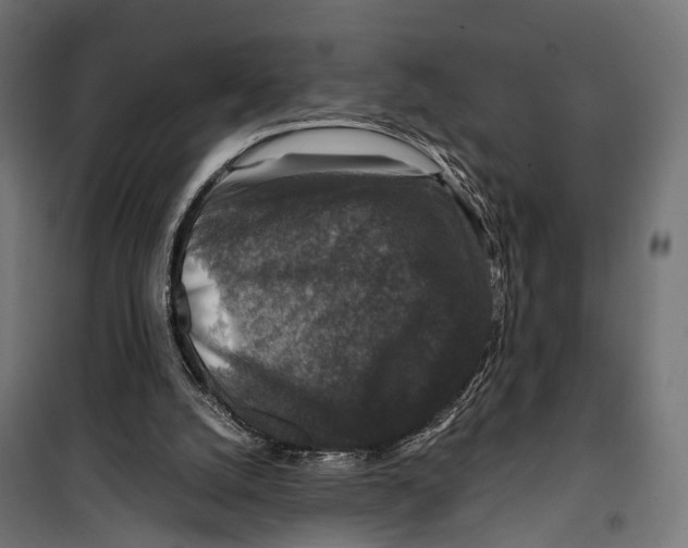 X0000099990056200806201459