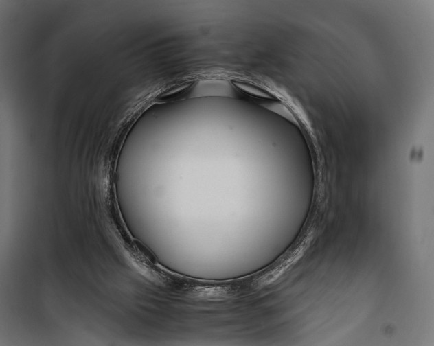 X0000099990057200806201459