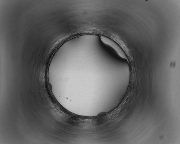 X0000099990058200806201459