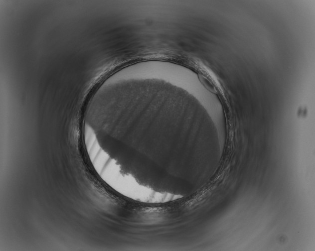 X0000099990059200806201500